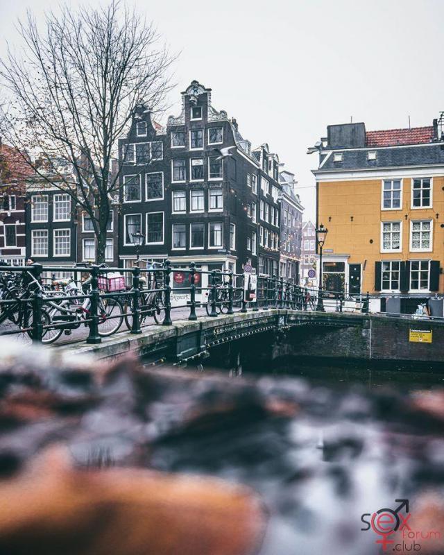MyAmsterdam.jpg