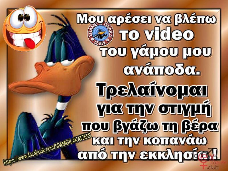 81472121_2721804821230183_2154578818008875008_n.jpg