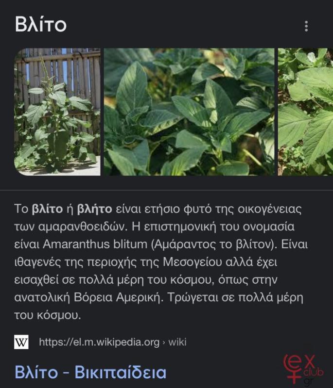 430d24a0-8d54-4e49-92c6-47bf953e88d4.jpeg