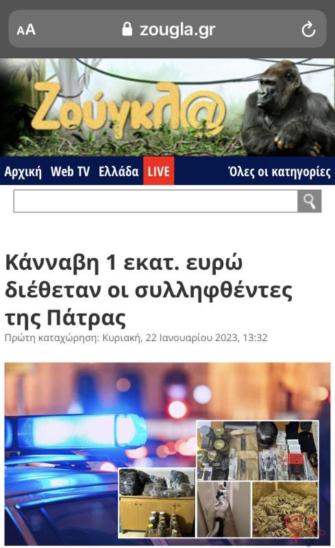 1c0bfe6e-33b1-403d-805b-3eac246c2f30.jpeg