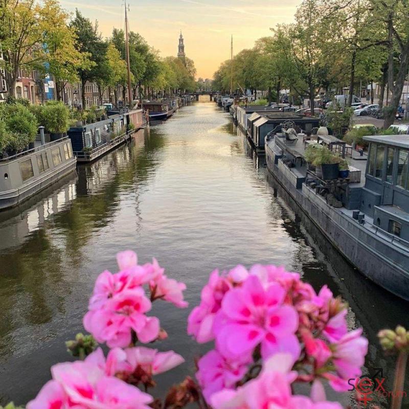 myamsterdam.jpg
