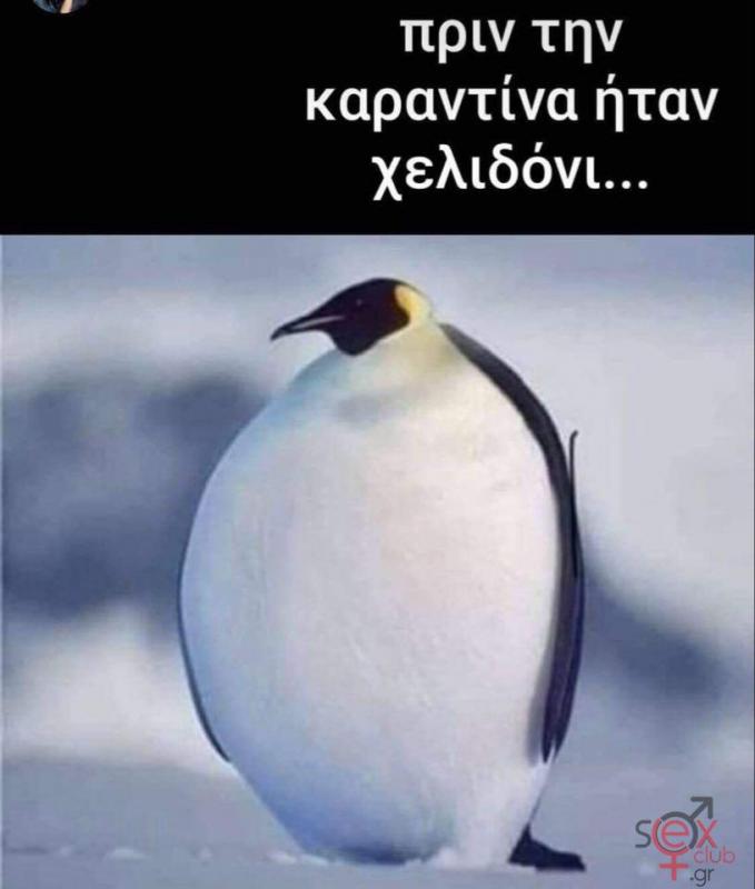 xelidoni.jpg