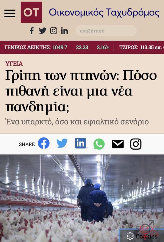 62114f0c-3b3b-400c-995d-7f8ffefd90e5.jpeg