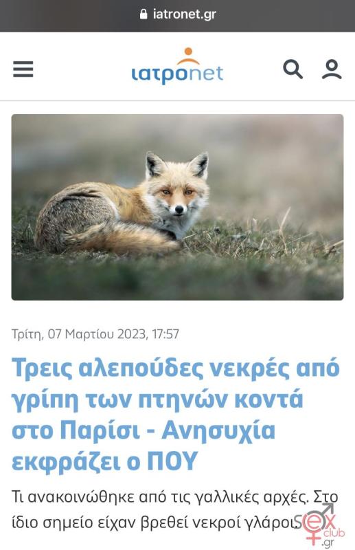 06619e06-778f-485e-bad8-2fd68fe5055e.jpeg