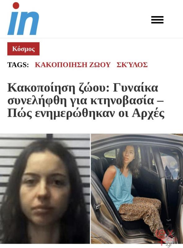 f6e69bfe-85e8-43db-8d85-3cebd55da607.jpeg