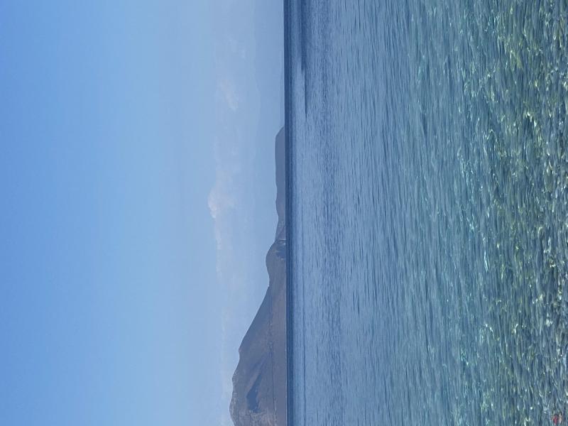 5514e544-19df-49b0-a70a-54c997d8b3c1.jpeg