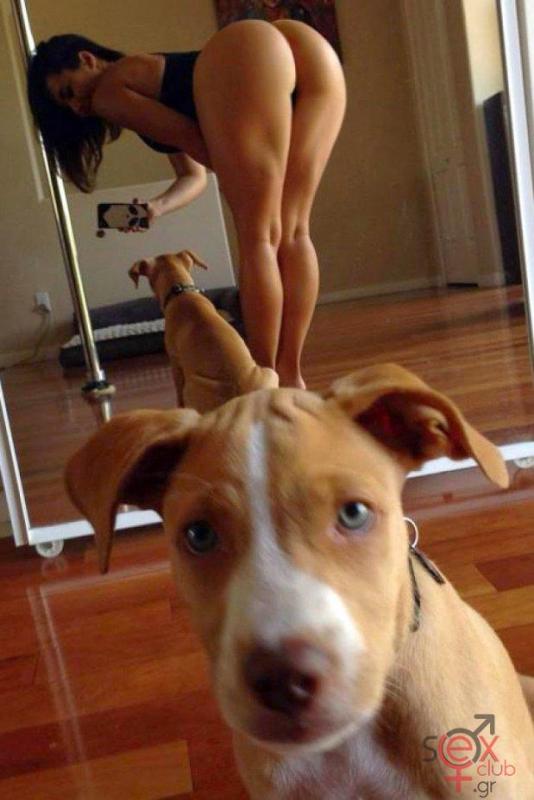 l_180949132410fc7dog.jpg