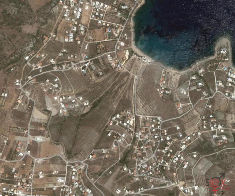 Πεύκο6-1030x858.jpg