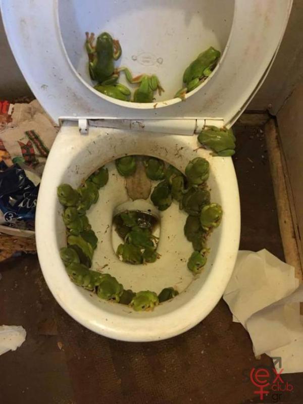 acid_picdump_36.jpg
