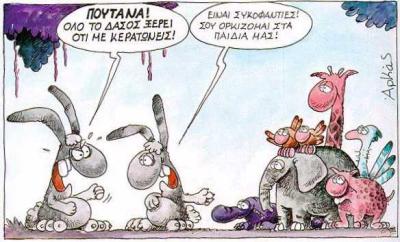 Arkas 13.jpg