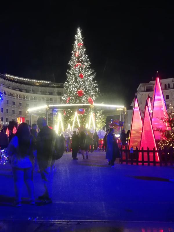 img_20231210_175318.jpg