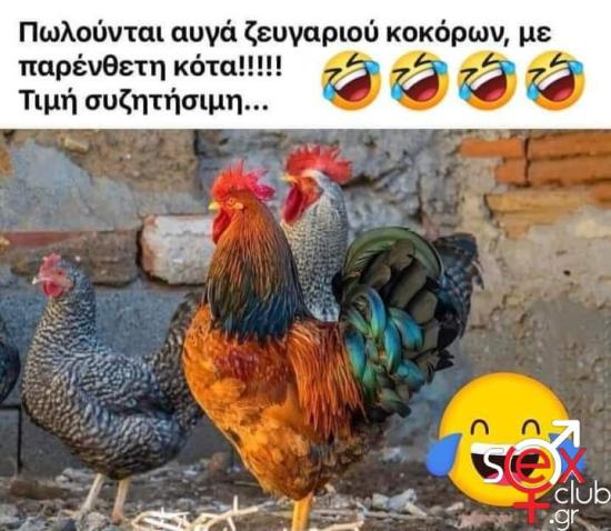FB_IMG_1708530978668.jpg