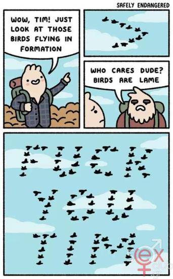 FB_IMG_1713205125026.jpg