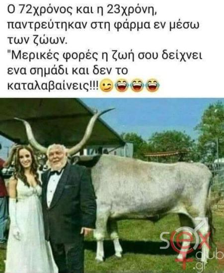 FB_IMG_1717241698478.jpg