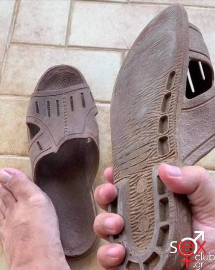 FB_IMG_1720116939618.jpg