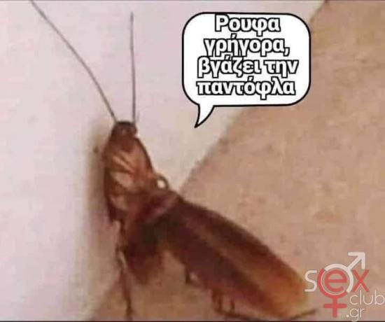 FB_IMG_1722347273593.jpg