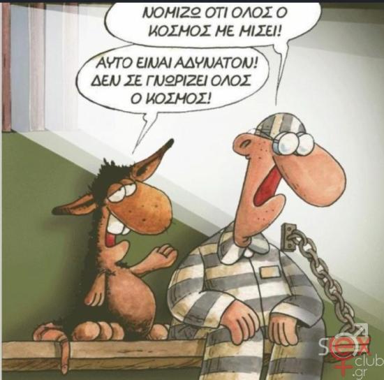 arkas-5.jpg