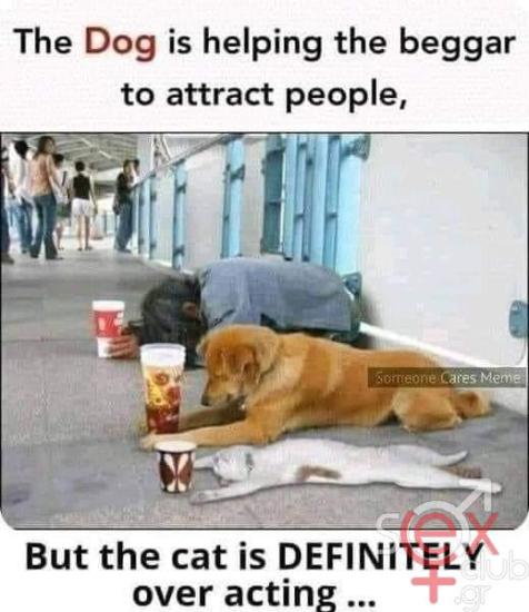 FB_IMG_1726766555597.jpg