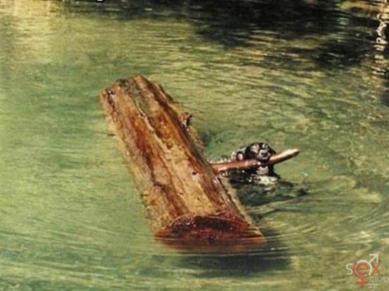 acid_picdump_52.jpg