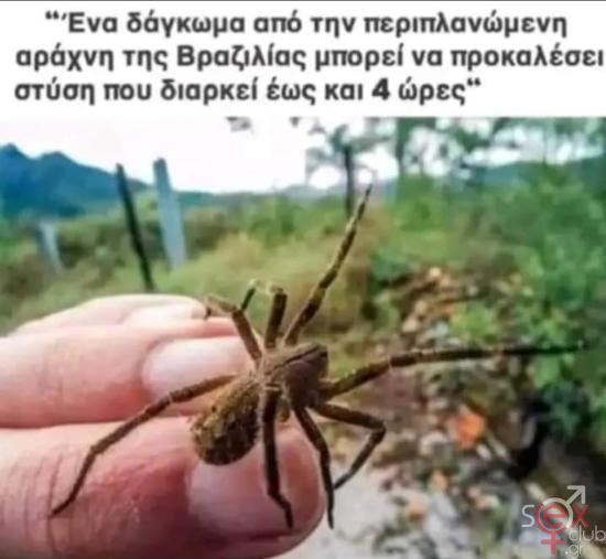 Screenshot_20241003_131510_Facebook.jpg