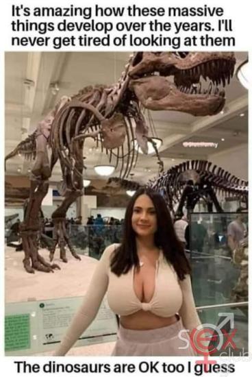 FB_IMG_1728326196143.jpg