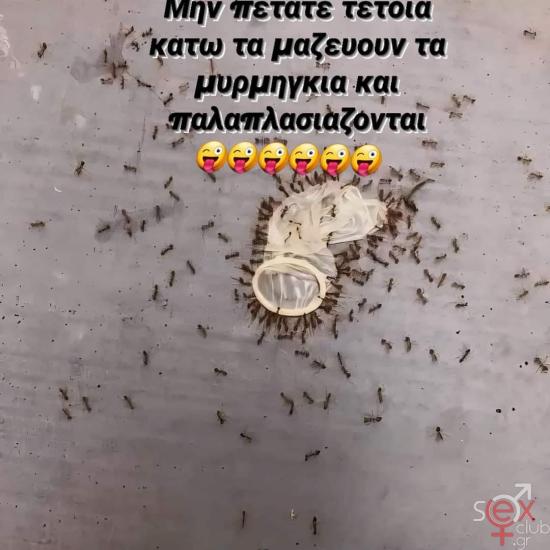 FB_IMG_1728584667295.jpg