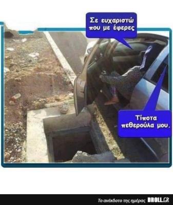 PETHERA.jpg