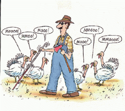 Being-grateful-funny-pictures_resize_thumb[1].gif