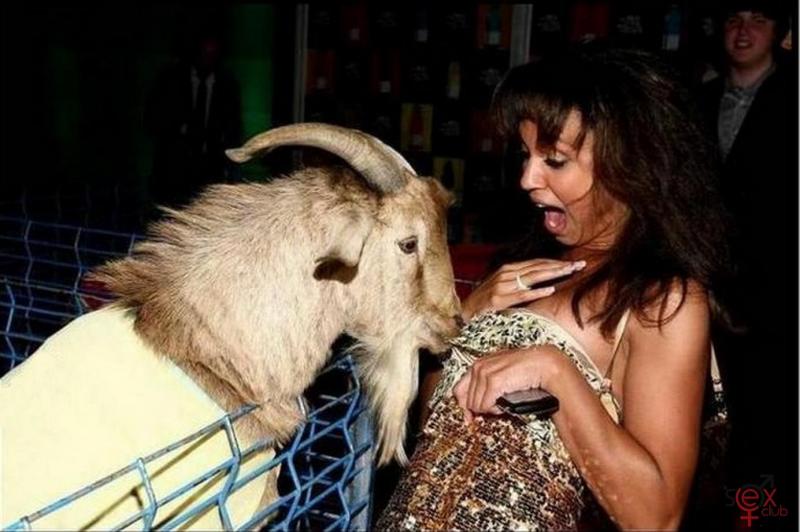 Αστείες φωτογραφίες,γελοιογραφίες sexclub.gr  (454).jpg