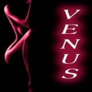 Sex Studio - Studio Venus
