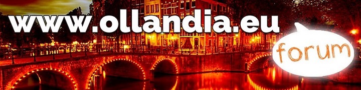Custom Banner 226